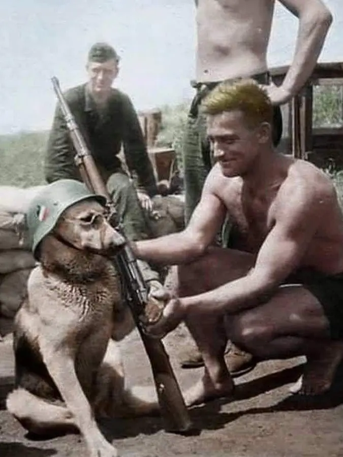 SevereSpear8606의 WW2