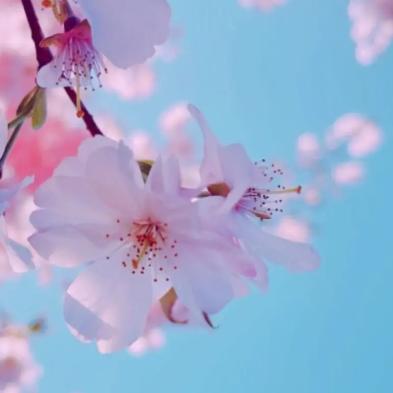 GrimRelax1754의 리레볼루션, 다시.