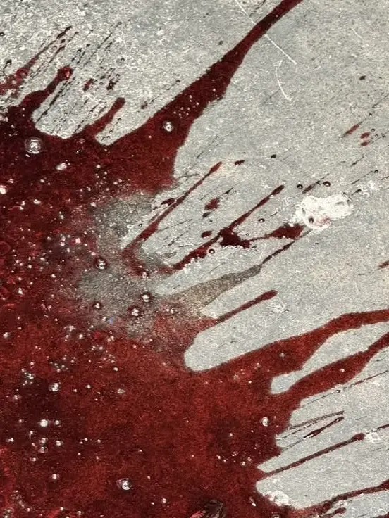 Best_salada의 지금 바로 윤회