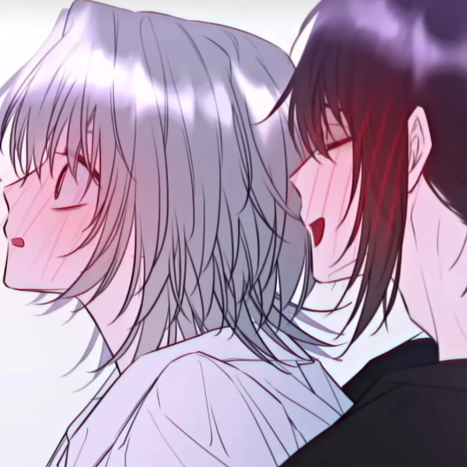 Y/N