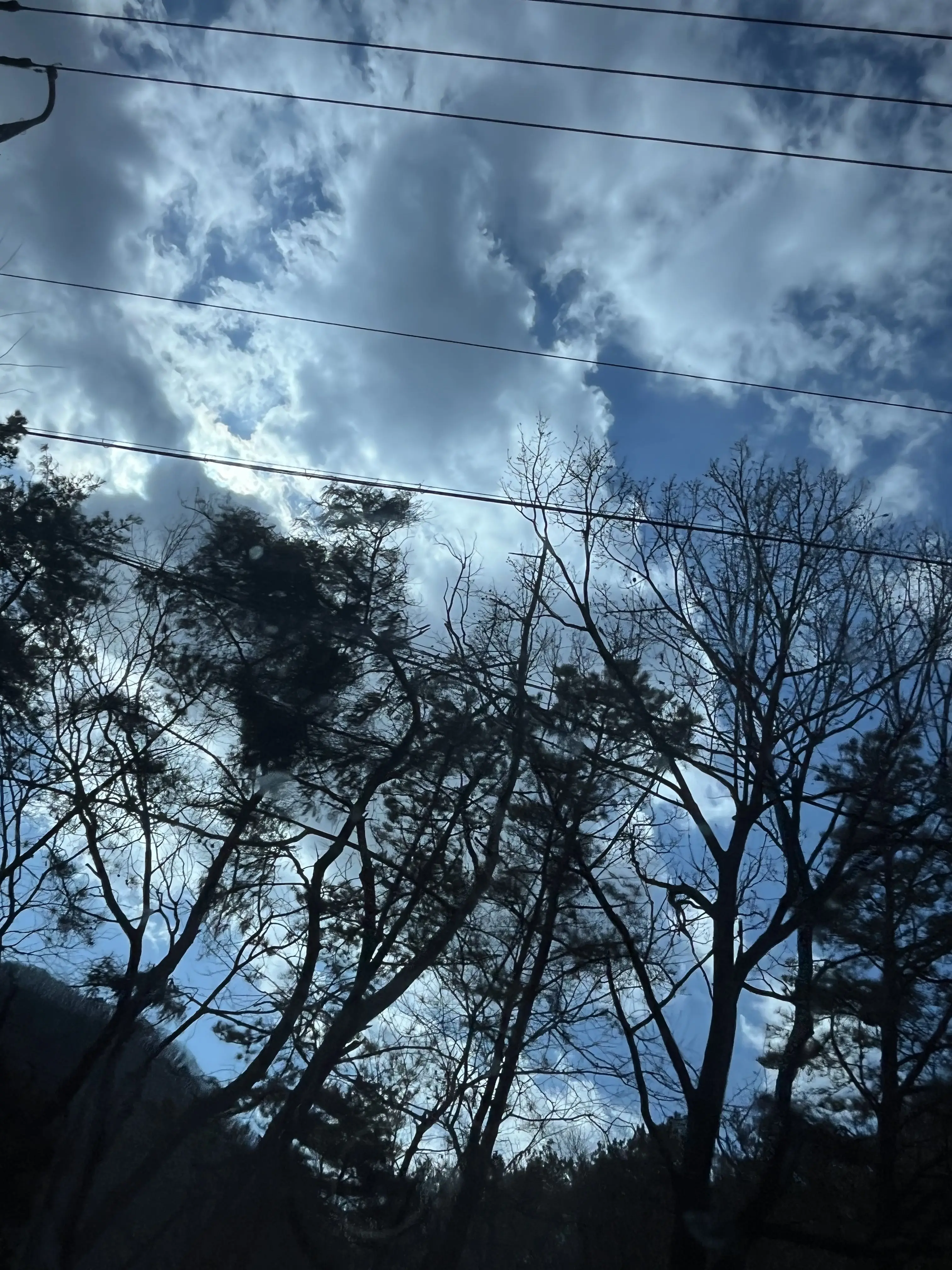 Hannahbesuw의 나를 좋아하는 태권도 사범님