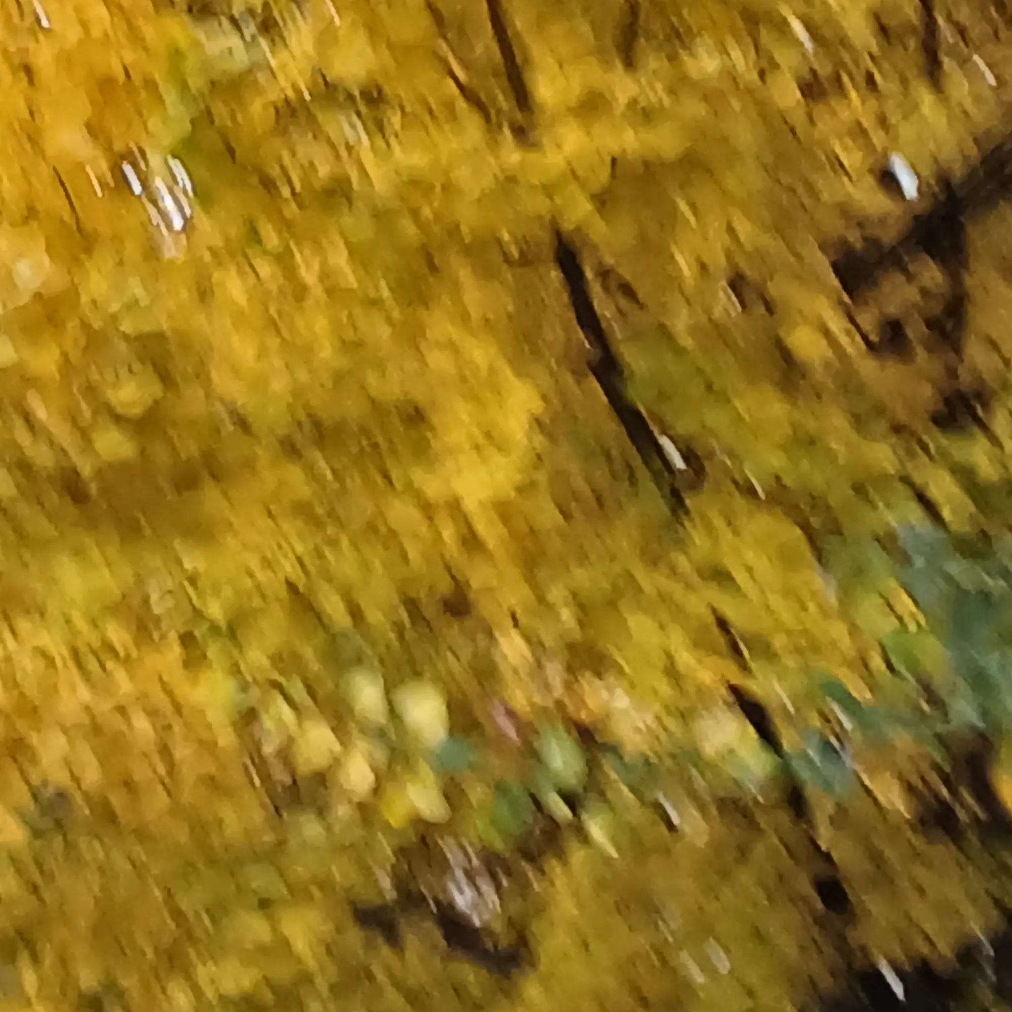 K1015의 잘생긴 학생들?