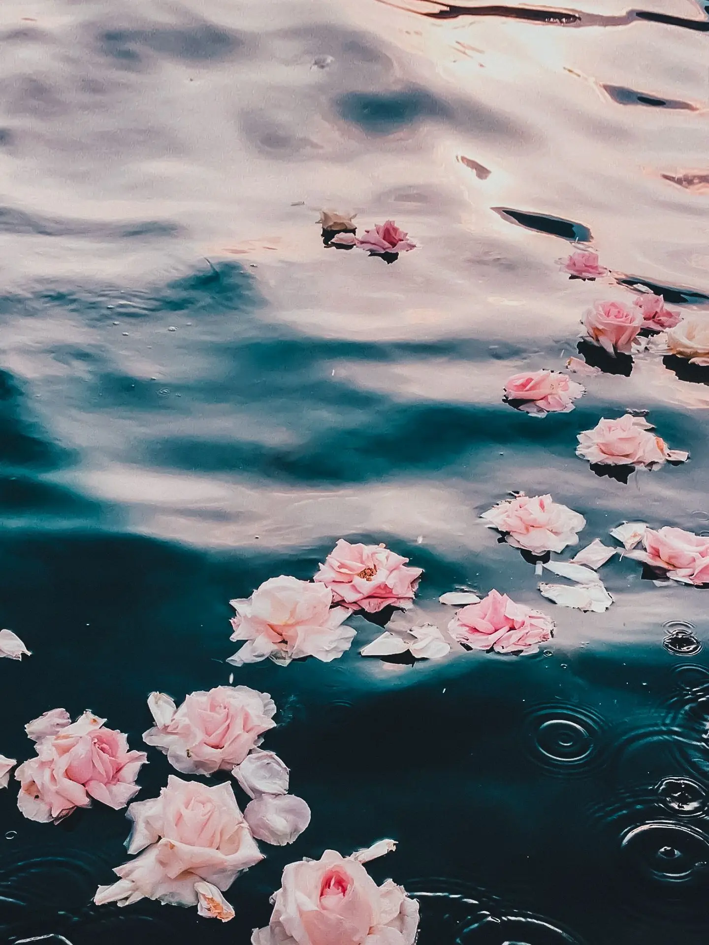 Meille_Yume의 얼빠 선도부는 잘생긴 선배가 곤란해!