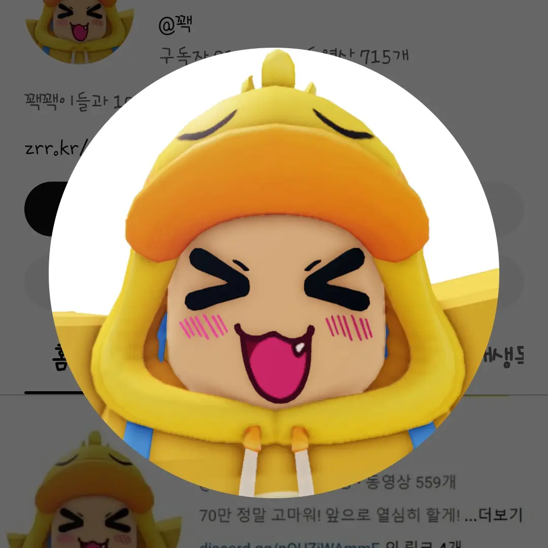 SecureAidi2974의 꽥꽥탐험대