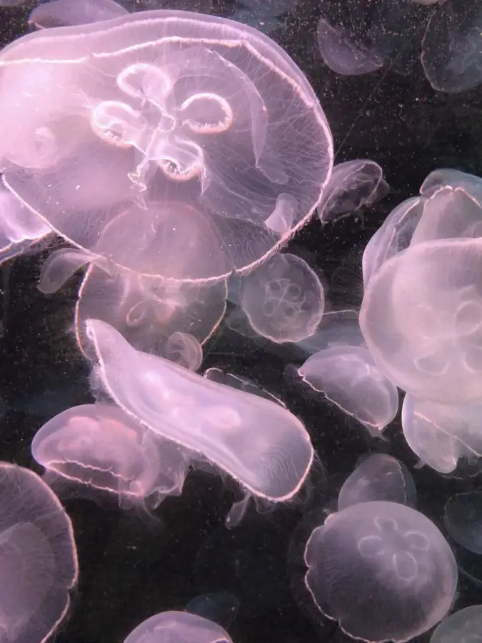 memmem030의 - - - ♡