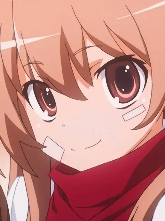 FleshyChime0510의 Taiga Aisaka