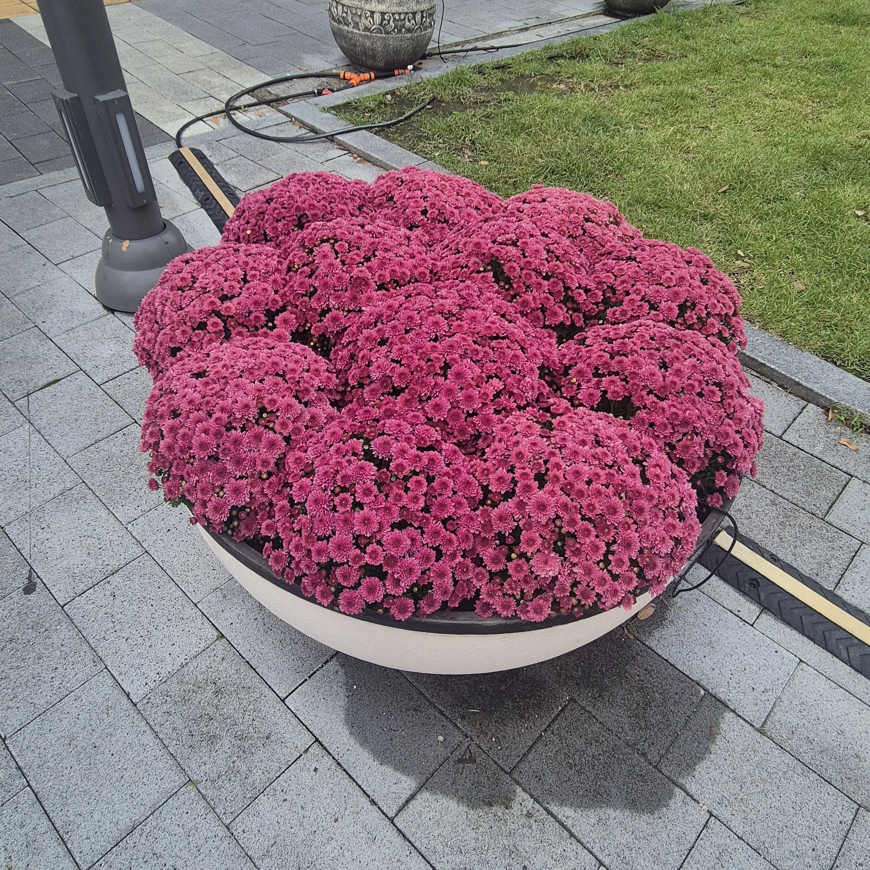 JUSUNG070911의 삼장