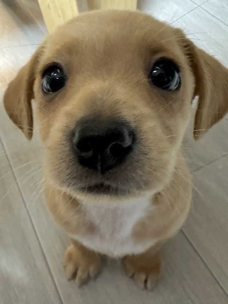 chaeeeeee의 김승민