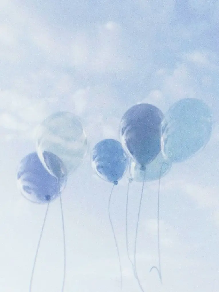 BlandChild8722의 .
