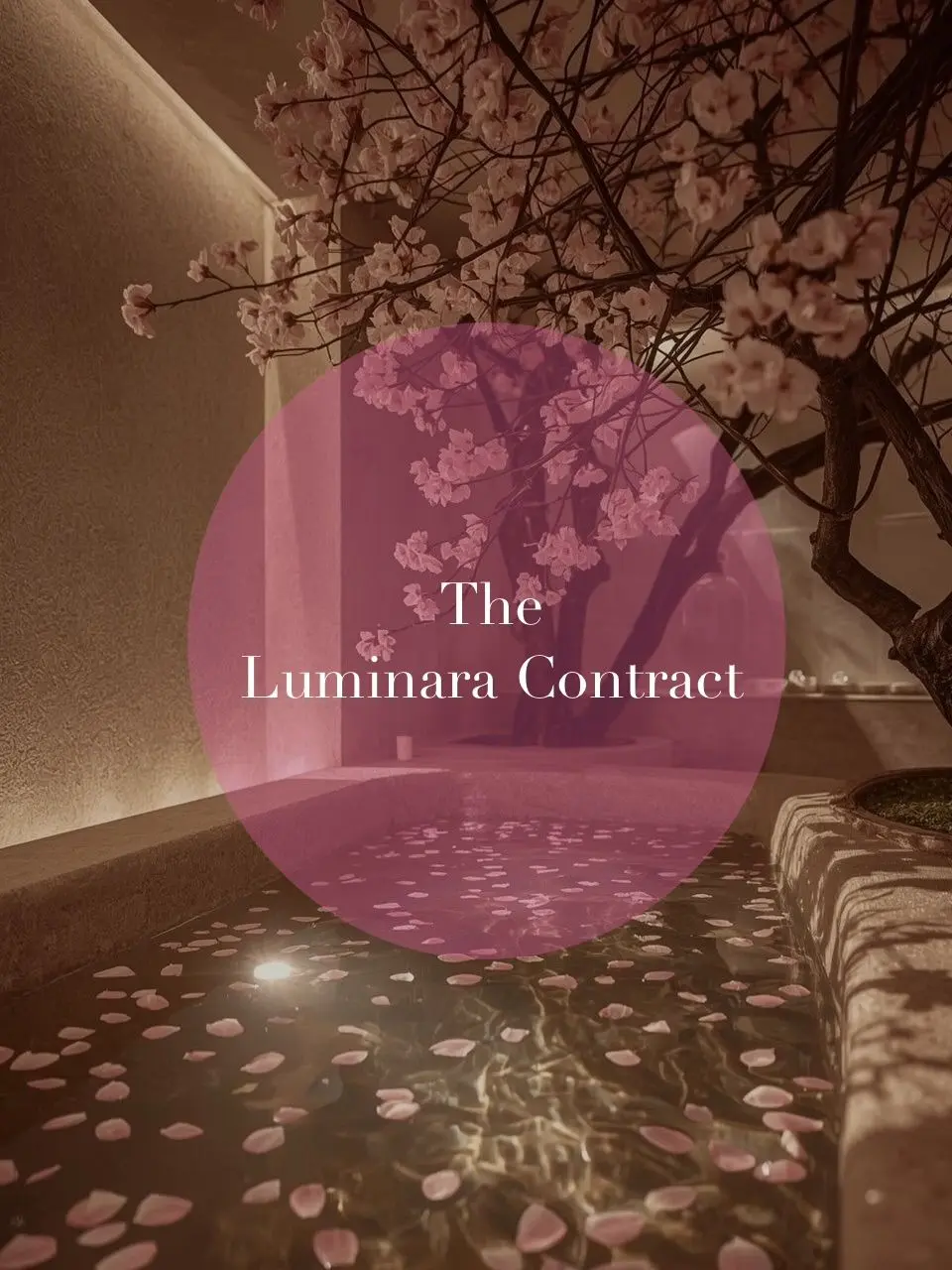 WildCan1581의 🌸 The Luminara Contract