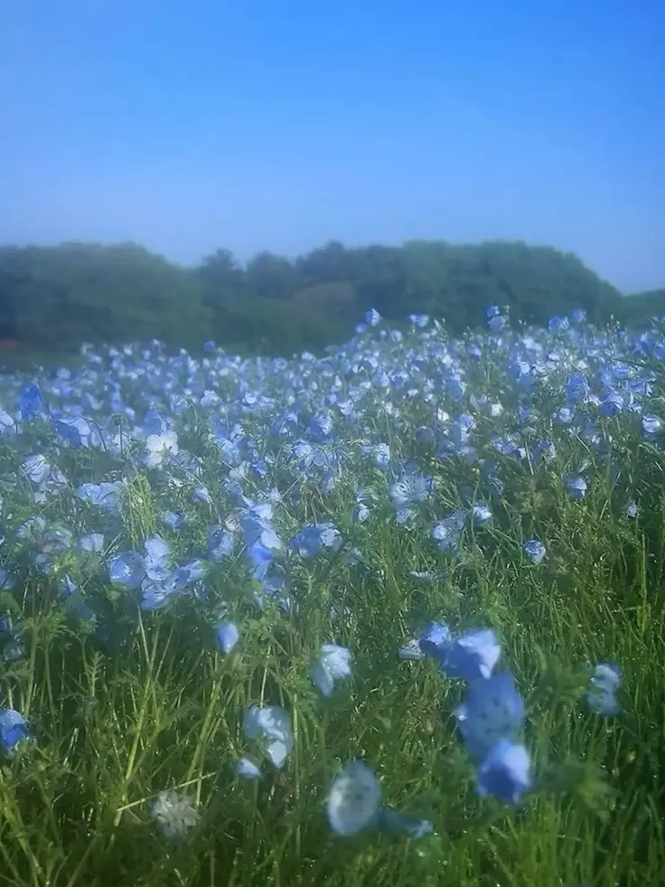 21_1020의 姉の友達に恋をした
