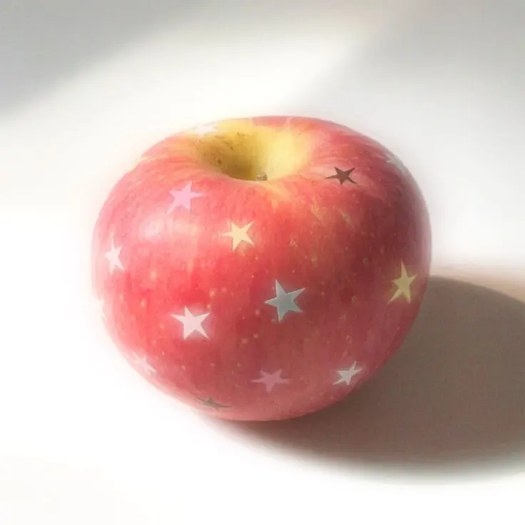 MOMOISCAT의 유난히 날 좋아하는 그 아이