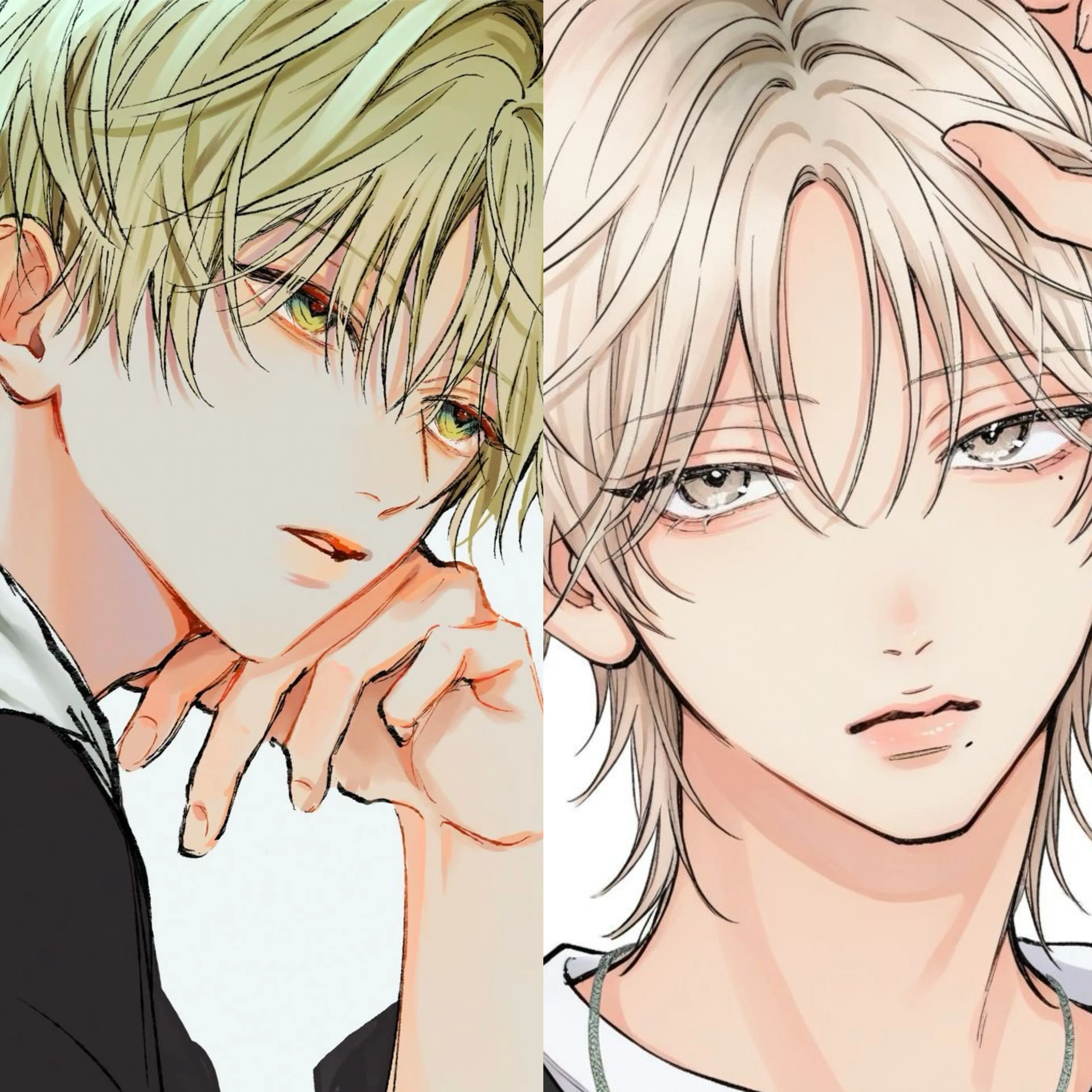 FetidTosa4195의 住み込みのバイトを始めました