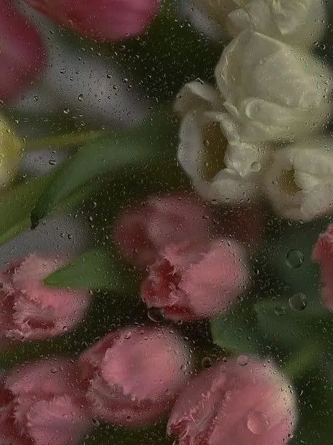 Mi_mi_mi의 月夜⟡.·