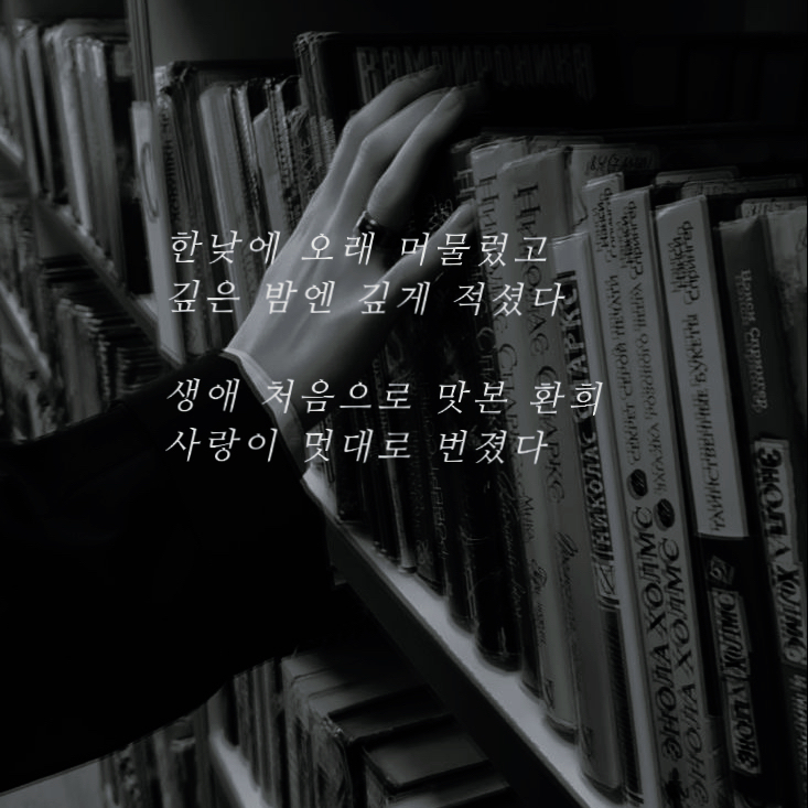 송어진 대표 이미지