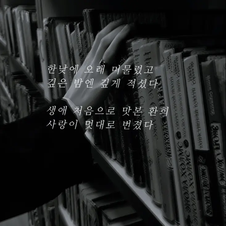 IllBoiga2492의 송어진