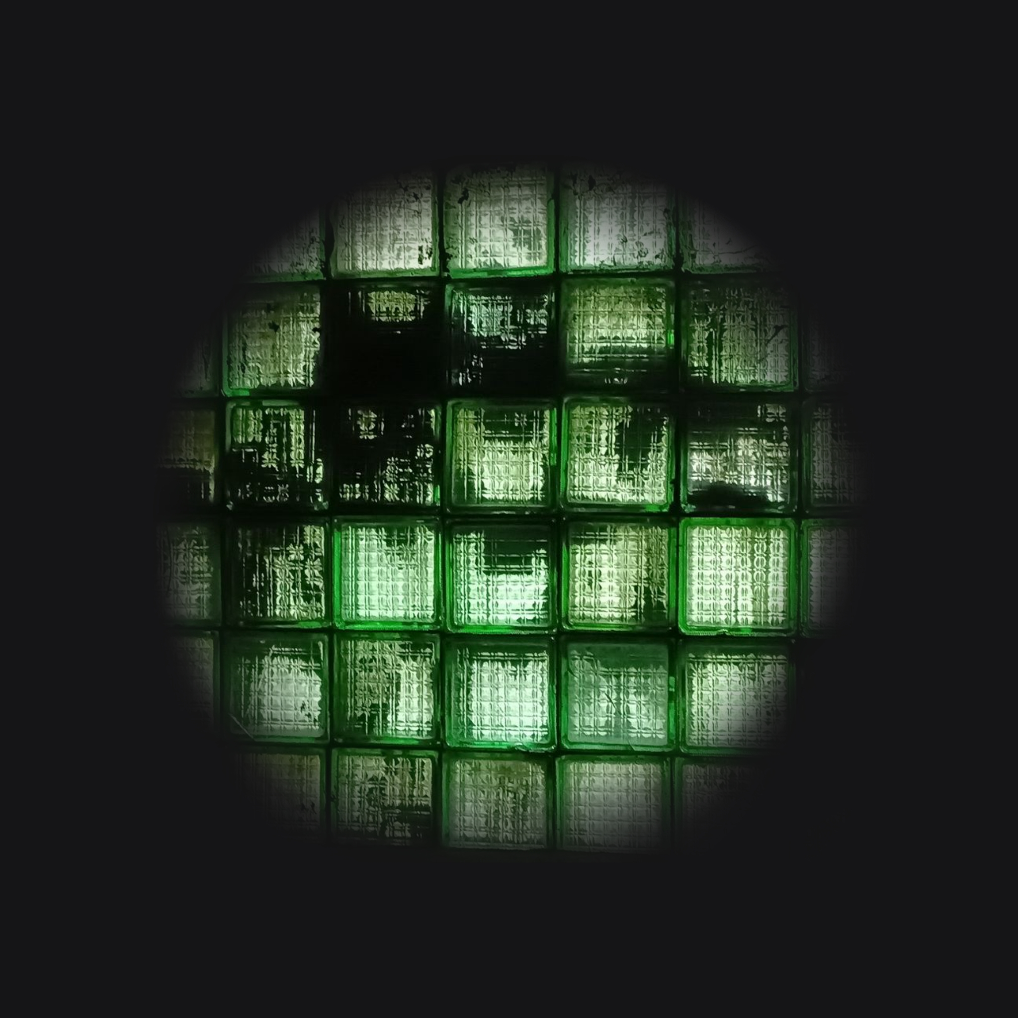 𝘋𝘺𝘴𝘵𝘰𝘱𝘪𝘢 대표 이미지