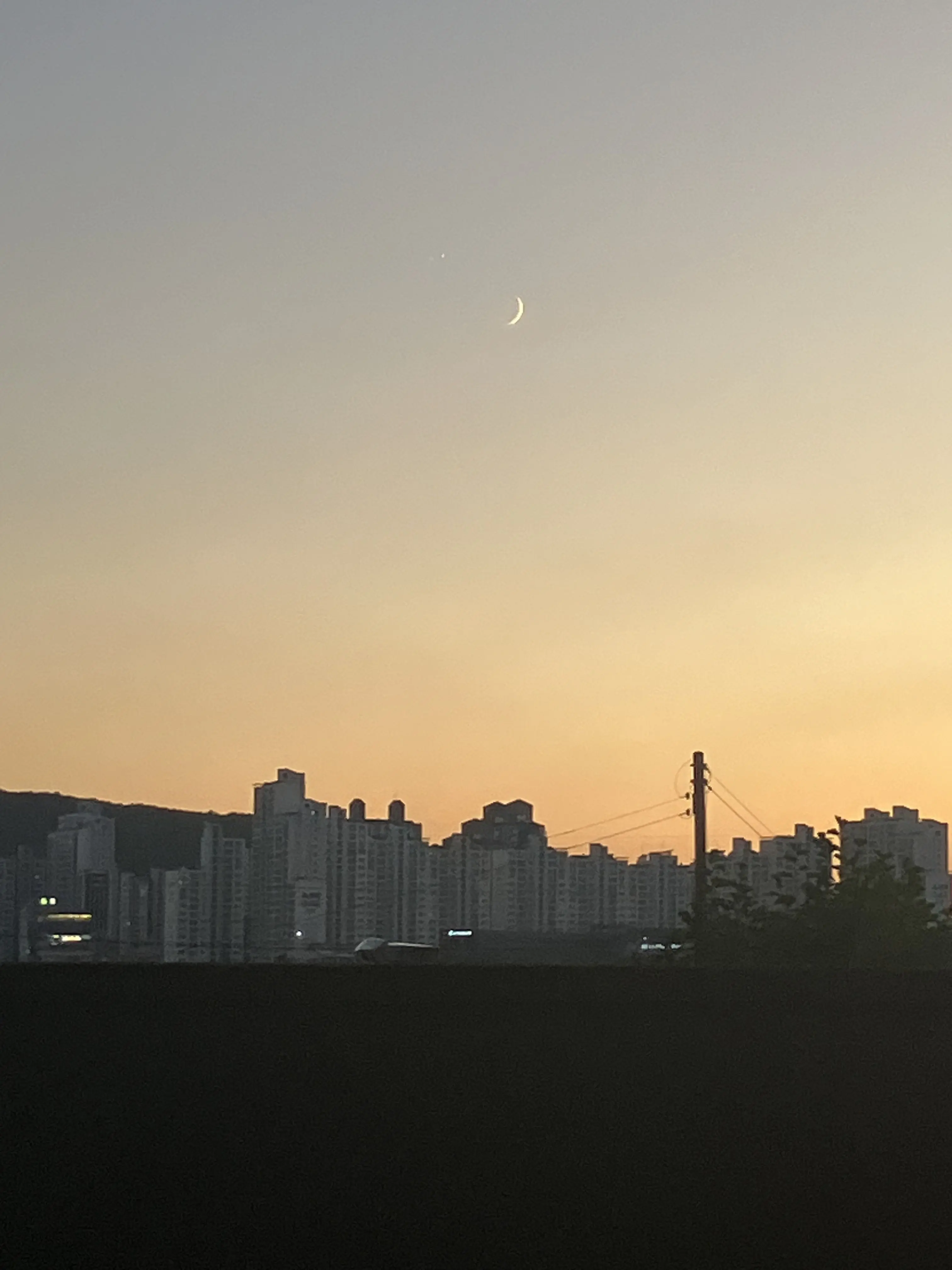 SunnyTani141의 쿠키런 킹덤 학교
