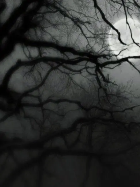 FussyPool2751의 정재현