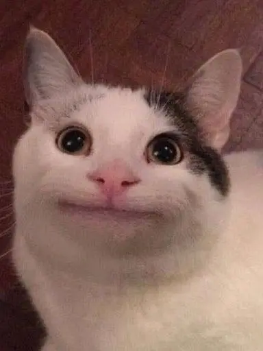 eadie2014617의 길고양이 RPG