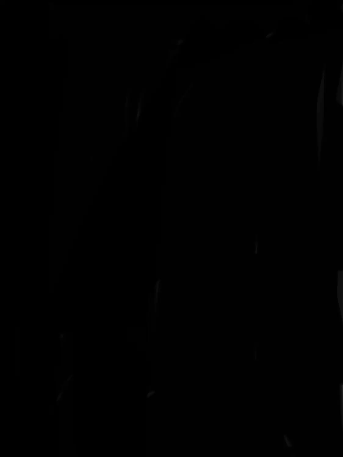 CaringAsp2142의 코코야시 마을