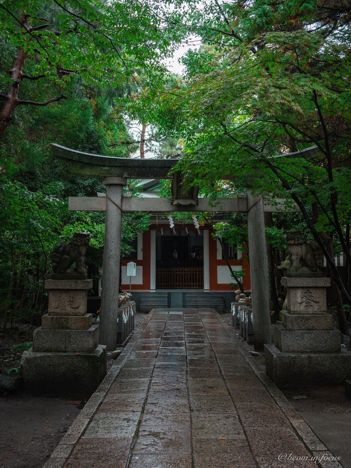 산신령과 영물들 대표 이미지