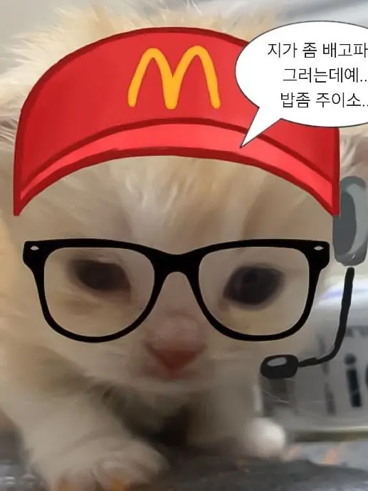I-LOVEYOU의 A Human Is Taking Me Home