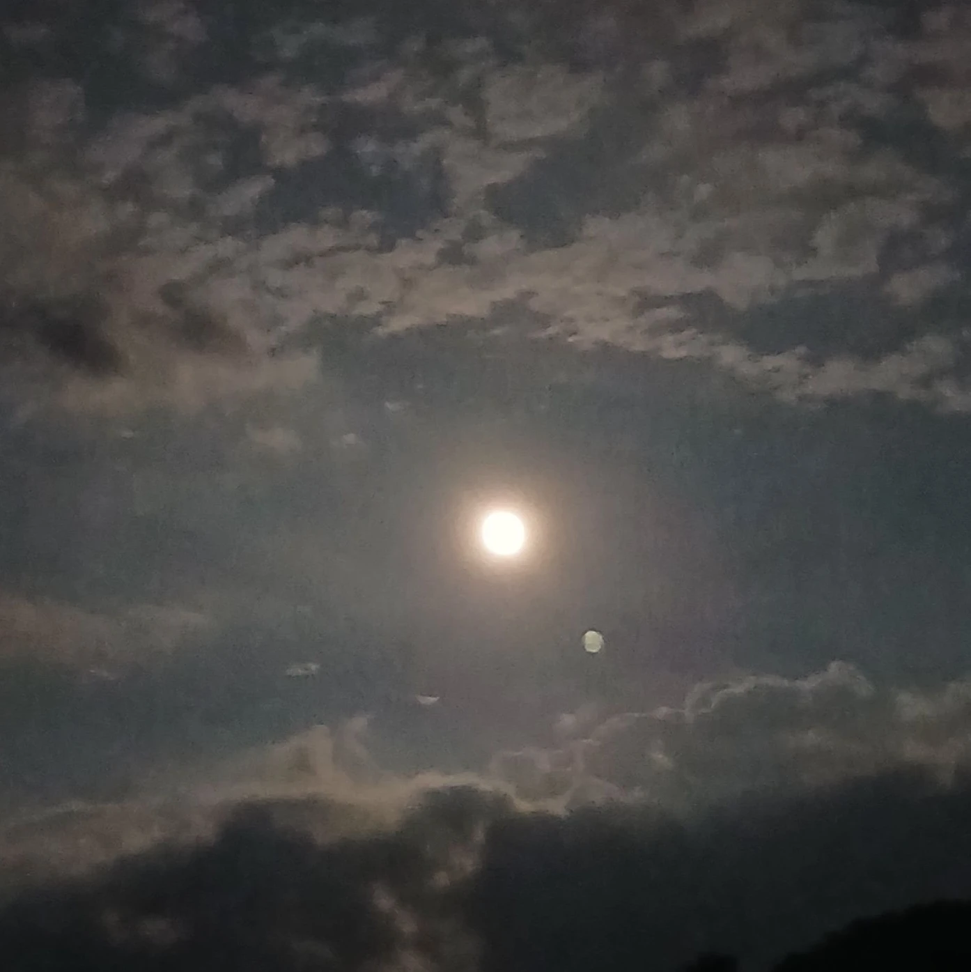 유곽 잠입수사...!(w.연주,충주)