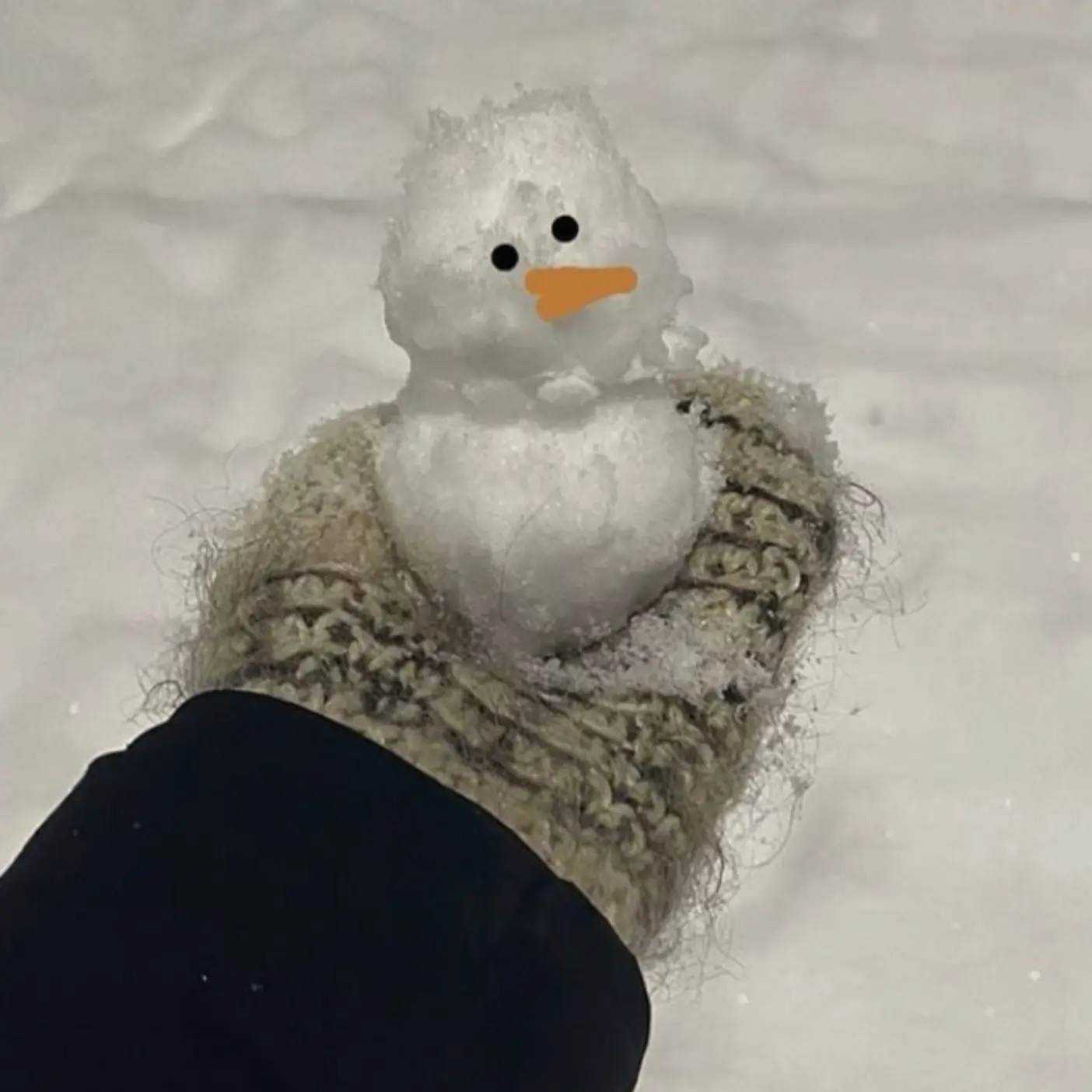 TrueMamba4254의 르제트