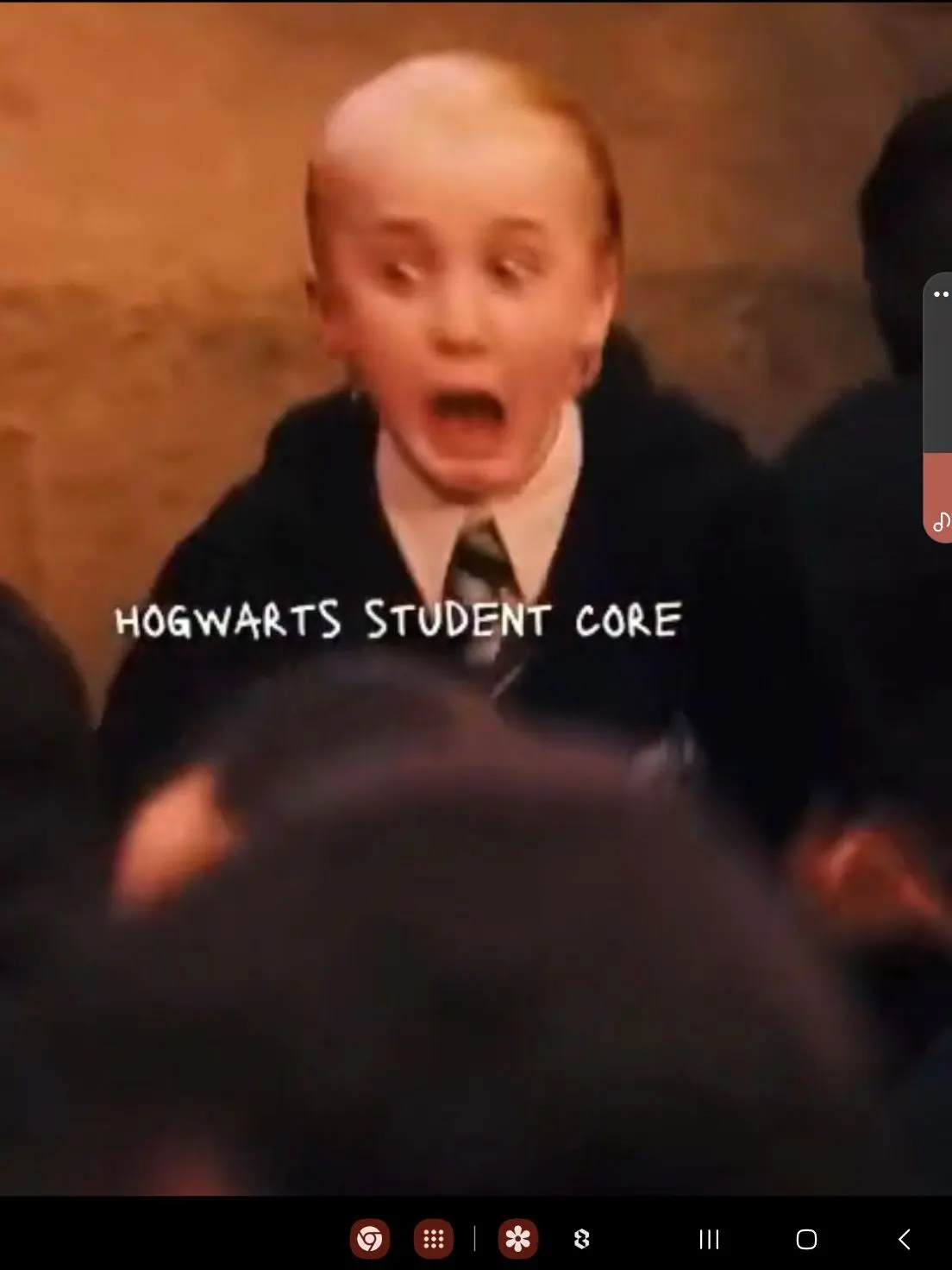 MintyMind8675의 Harry Potter's Twin