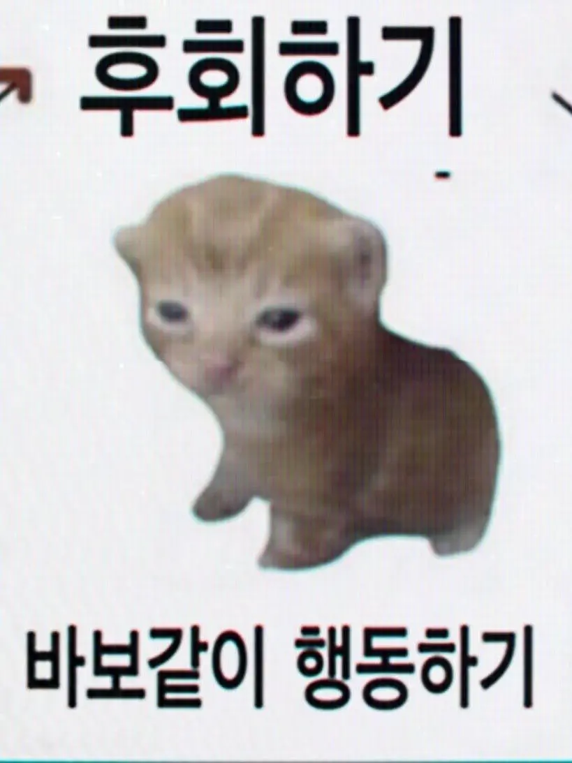 S0130tar의 뭐 먹어?