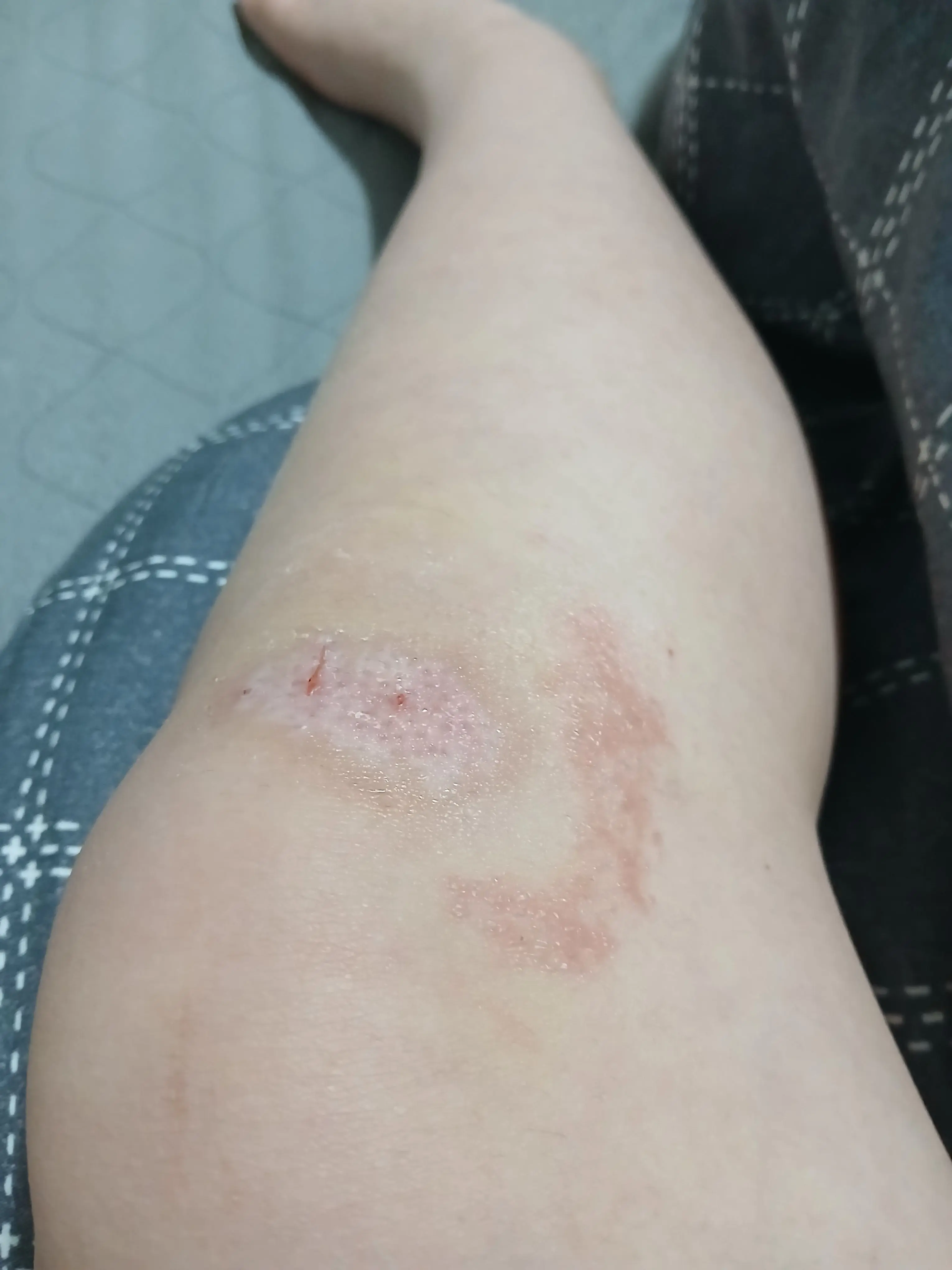 SharpDaug7137의 공지