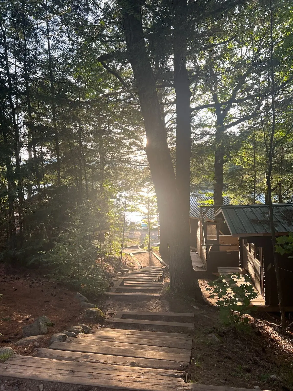 usersjejjdsjdsw의 Summer Camp