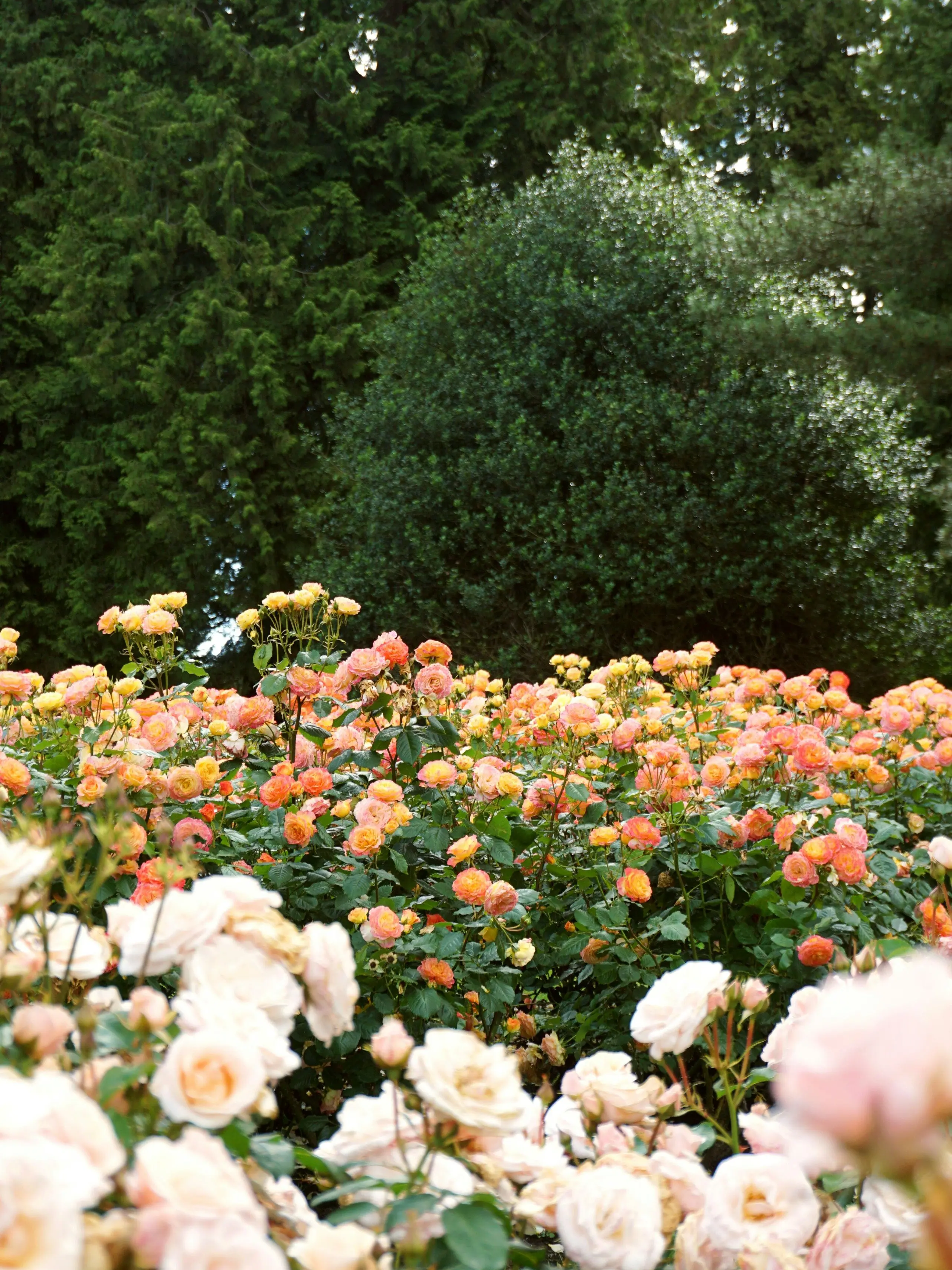 jk7의 🔮 Take My heart