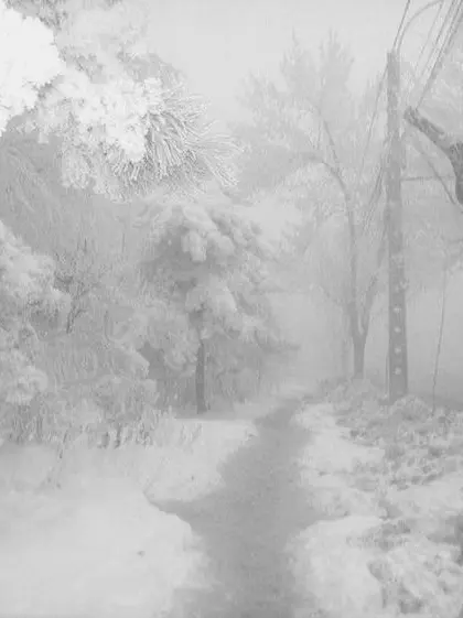 Dokja.4941의 설원에서 만난 천인호와 김독자.