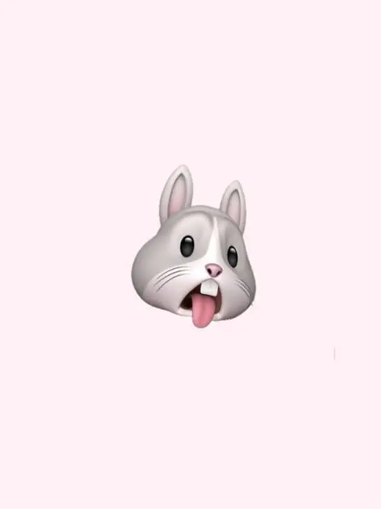 BusyGrape3610의 토끼 키우기 🐰