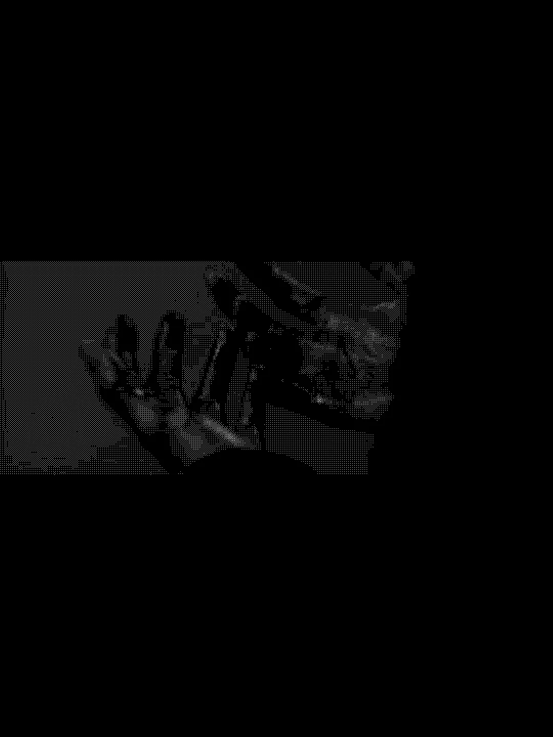 -WHY의 絕望