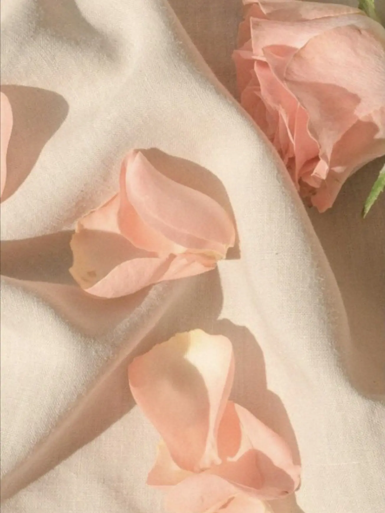 NoisyWolf9978의 {패러다이스} - [오빠라부르기~!]