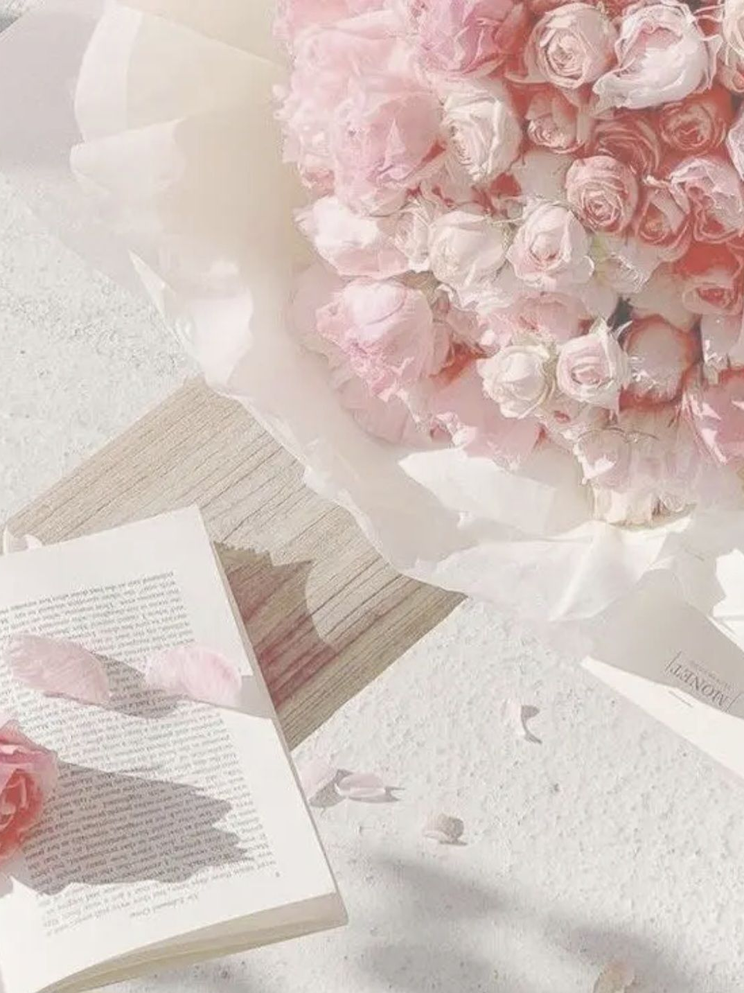 {패러다이스} - [오빠라부르기~!] 대표 이미지