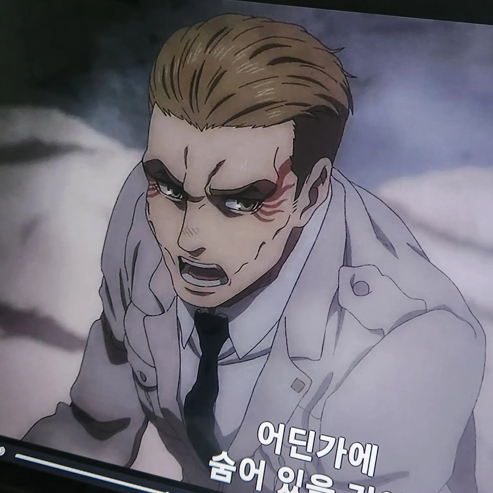 Lozizizizi의 포르코 갤리어드