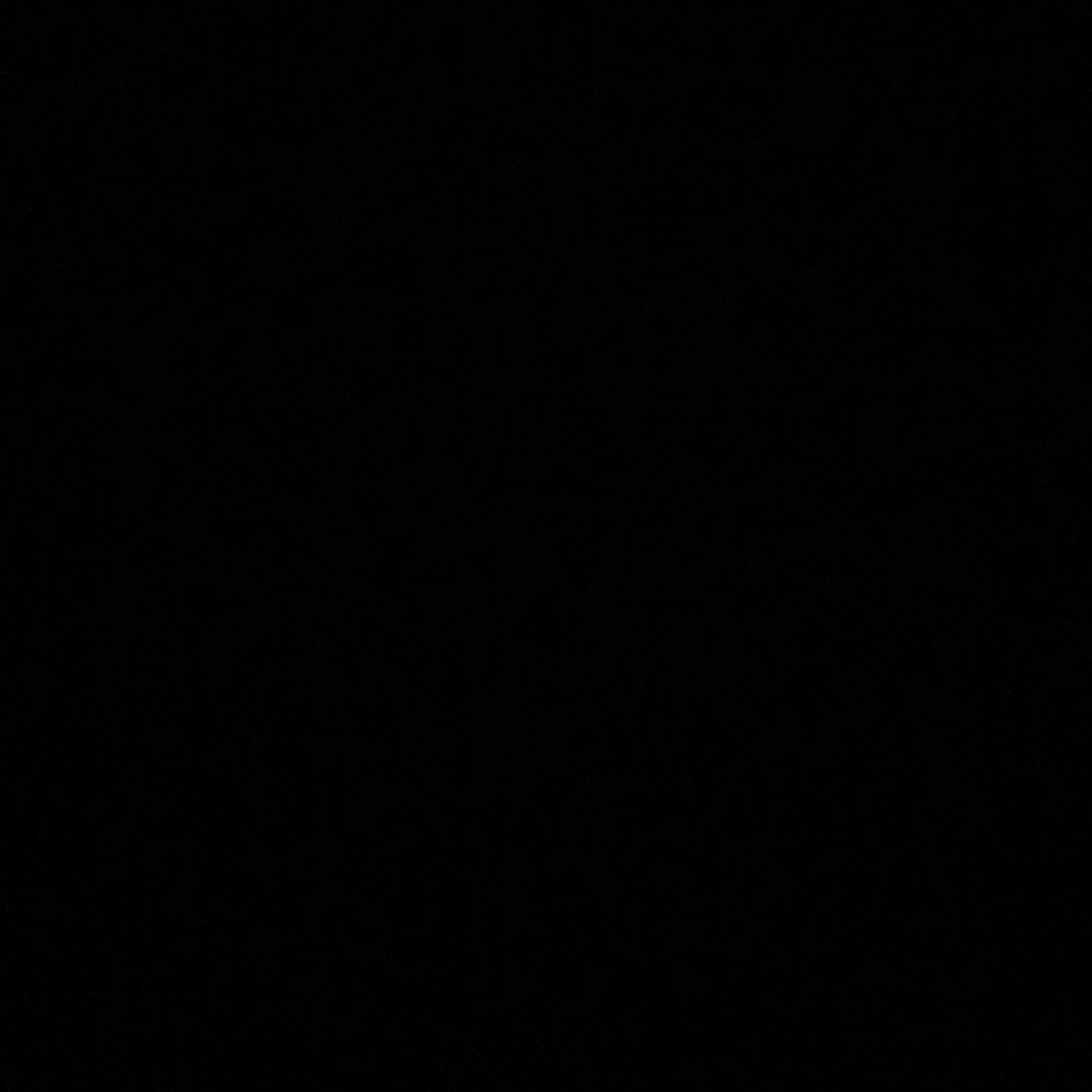 ヤンキーに懐いてたら私にデレデレに！？