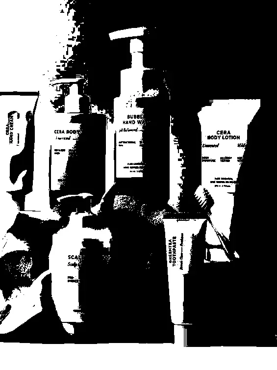 salmonpizza의 權謀術數