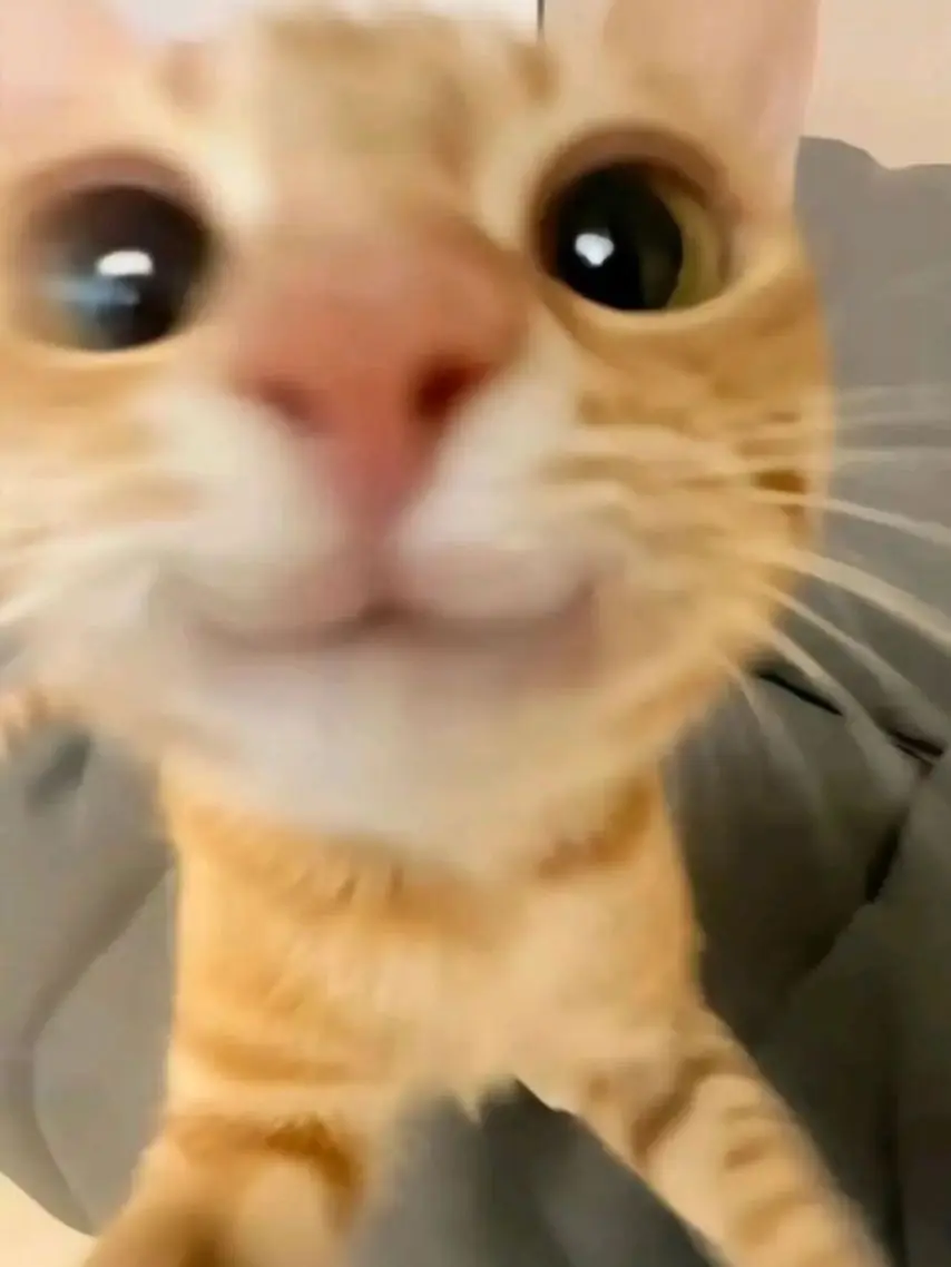 294988..의 미수반