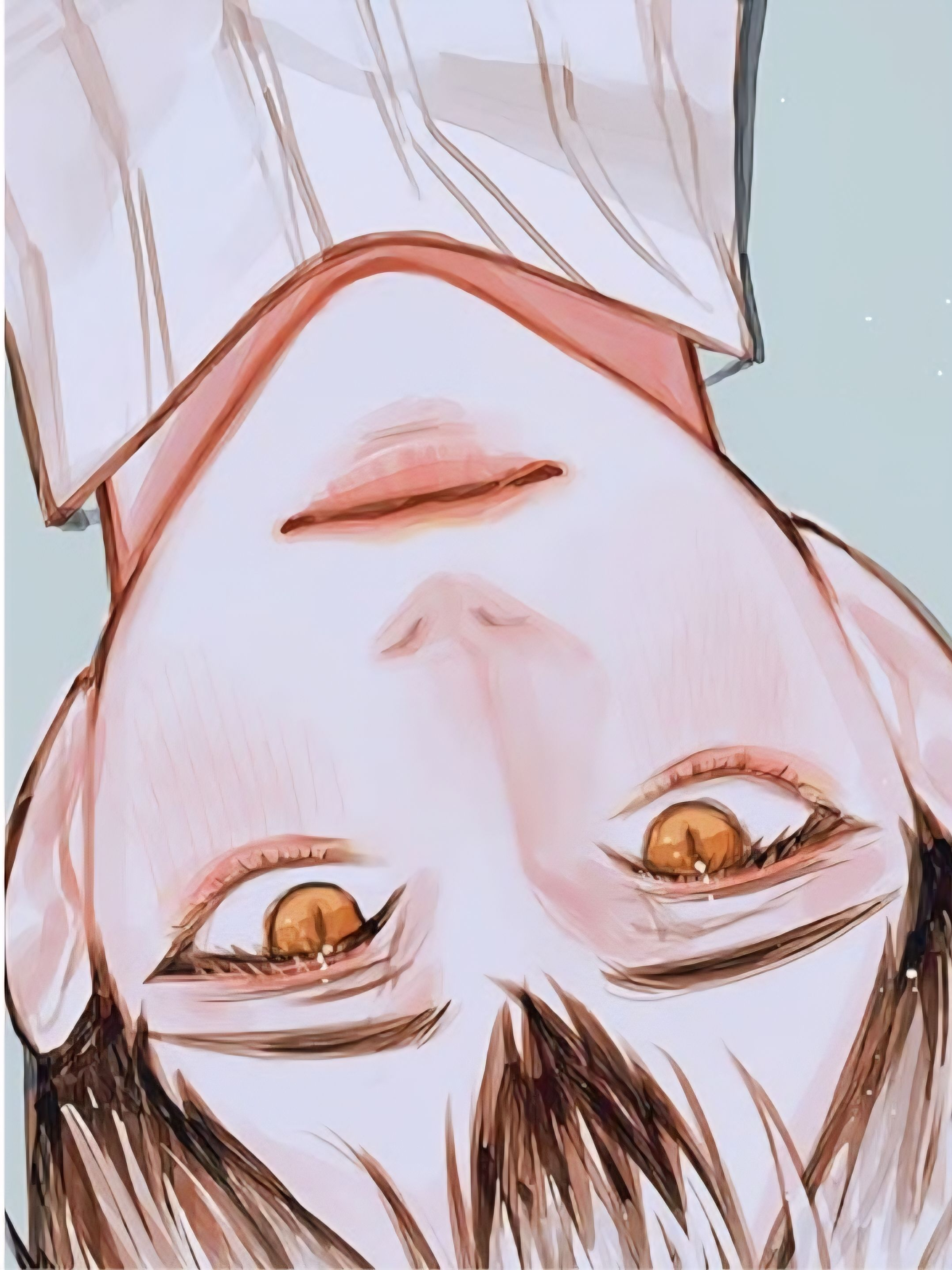 키타 신스케 대표 이미지