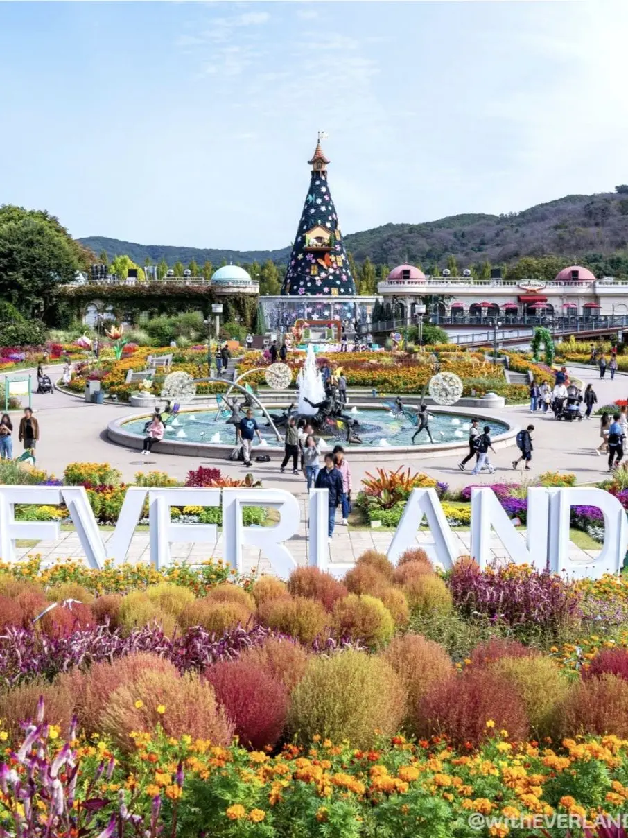 HandyClean6987의 Everland Cast Member