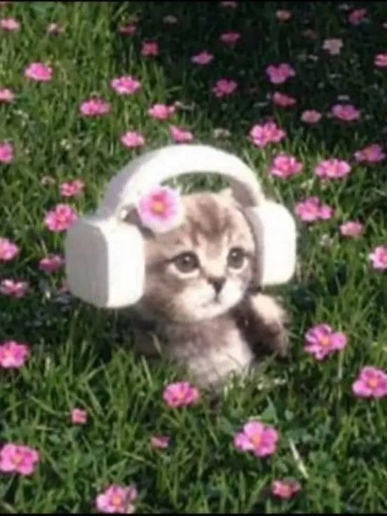 CrispyStep7332의 預かることになりました .ᐟ‪‪‬