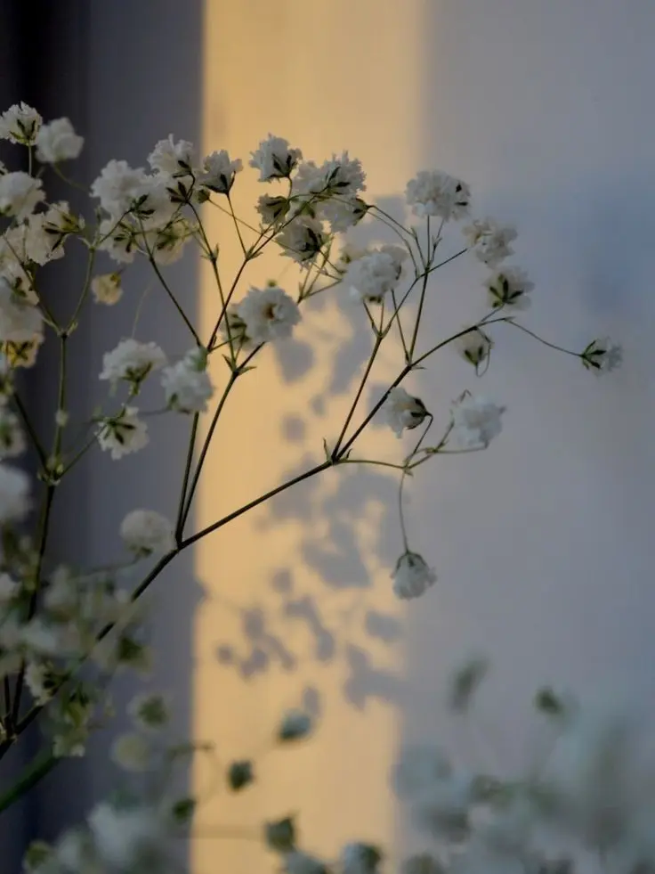 Tani0721의 일편단심, 또는 권태기.