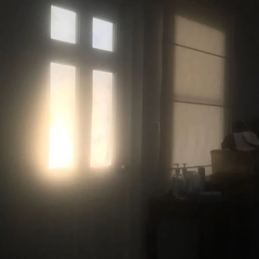 peachiicu_의 euphoria