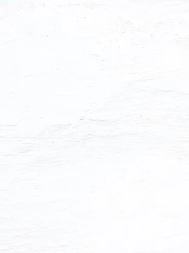 Switerlandball의 소멸