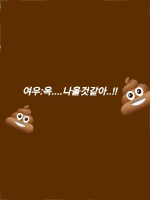 팀나빠 워크샵인데 여우의 급똥?!?! 대표 이미지